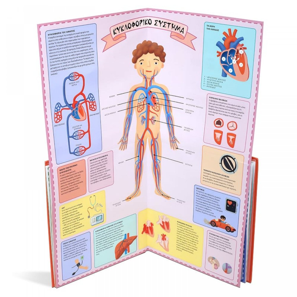 THE ATLAS OF THE HUMAN BODY
